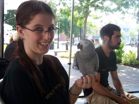 African Grey Parrots need their wings trimmed too