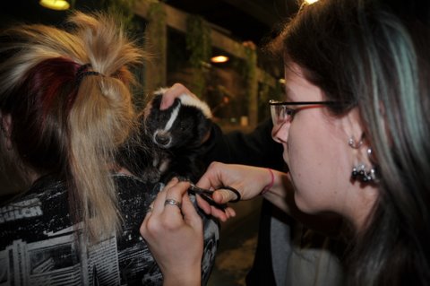Kat skillfully trims pet nails