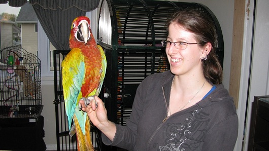 Kat-Bird